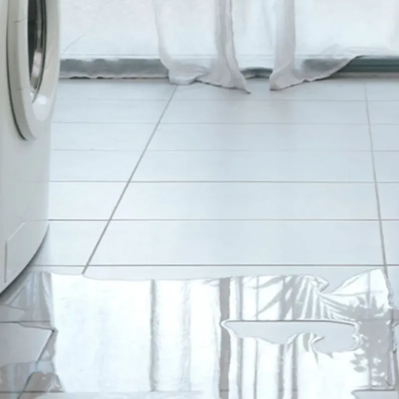 Appliance Leak Cleanup in Cobb, CA
