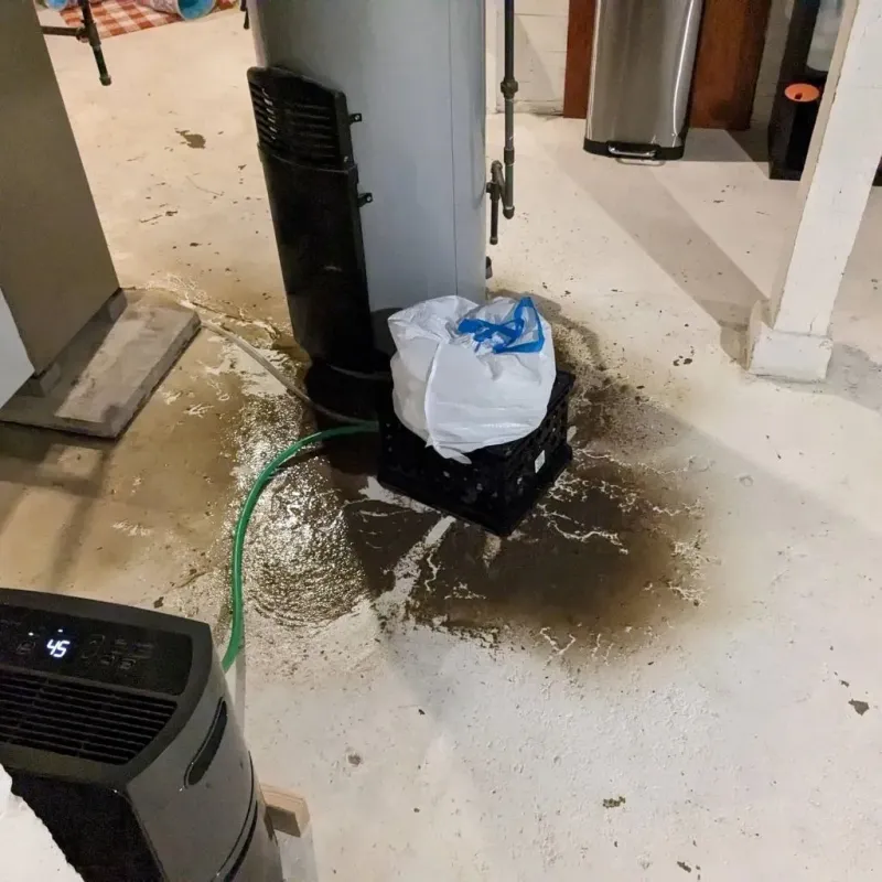Sewage Backup Cleanup Service in Cobb, CA